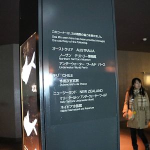 Partner aquaria - Tokyo Sea Life Park, February 2016