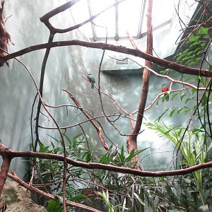 World of Birds 031215