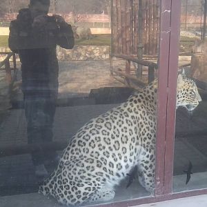 Here is how two non-EAZA zoos looks like