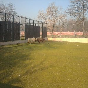 Here is how two non-EAZA zoos looks like