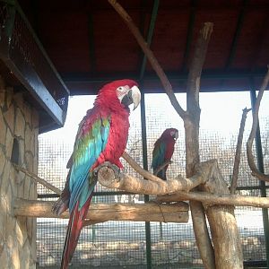 Skopje zoo & Bitola zoo