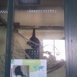 Skopje zoo & Bitola zoo