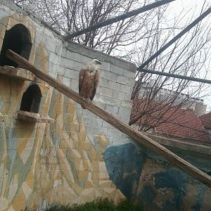 Skopje zoo & Bitola zoo