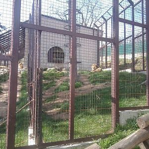 Skopje zoo & Bitola zoo