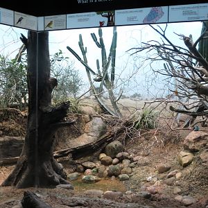 World of Birds 031215