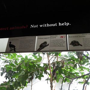 Interesting combination - World of Birds 031215