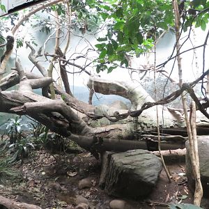 World of Birds 031215