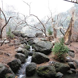 World of Birds 031215