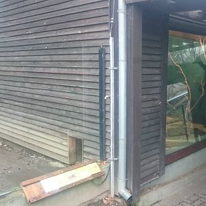 Indoor enclosure Bush dog