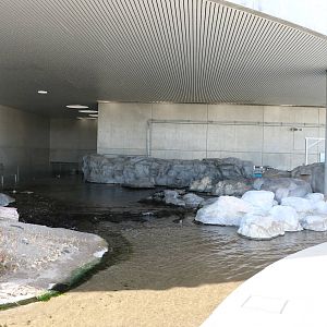 Enormous rocky shore pool - Tokyo Sea Life Park, February 2016