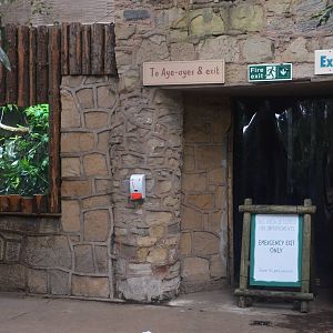 Aye-aye and Jumping Rat Signage at Chester, 09/03/16