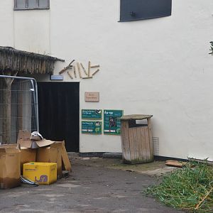 Aye-aye and Jumping Rat Signage at Chester, 09/03/16