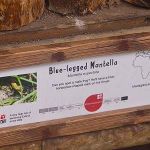 Signage for Blue-legged Mantella at Chester 09/03/16