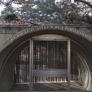Russell B. Aitken Sea Bird Colony 031215