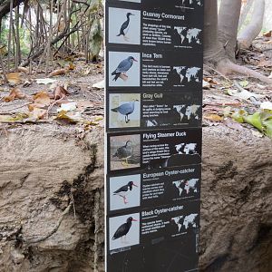 Sea Bird Colony Sign 031215