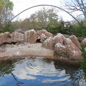 Sea Bird Colony Aviary 031215