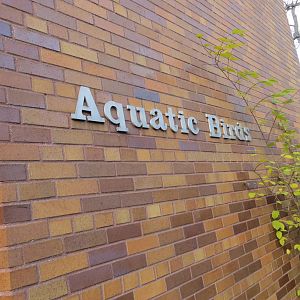 Aquatic Birds House 031215