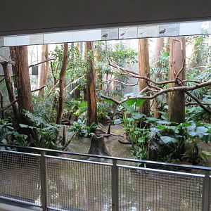 Aquatic Birds House 031215