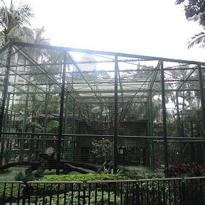 Siamang Enclosure