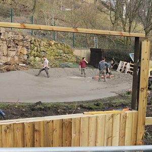 'Enlarged' flamingo pool