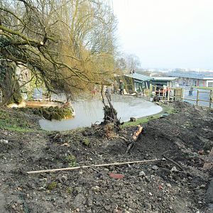 Flamingo enclosure undergoing a revamp.