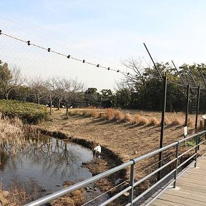 Crane and spoonbill aviary - Tokyo Sea Life Park, February 2016