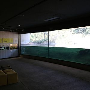 Pond exhibit - Tokyo Sea Life Park, February 2016