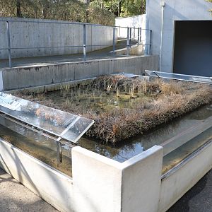 Rice paddy tank - Tokyo Sea Life Park, February 2016