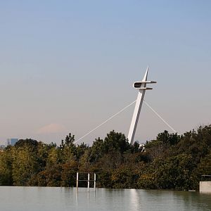 One view of Mt Fuji - Tokyo Sea Life Park, February 2016