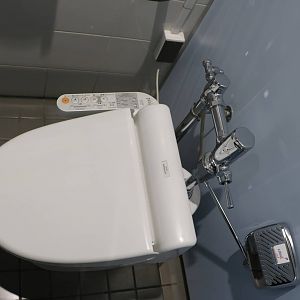 Toilet controls - Tokyo Sea Life Park, February 2016