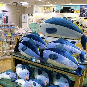 Tuna toys - Tokyo Sea Life Park, February 2016