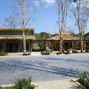 Vinpearl Safari - Entrance Avenue