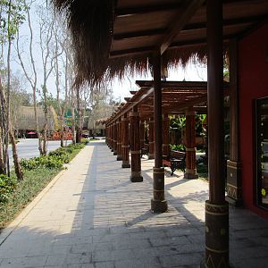 Vinpearl Safari - Entrance Avenue