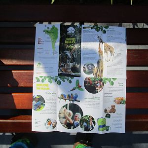 Vinpearl Safari - Back of Paper Map