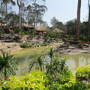 Vinpearl Safari - Flamingo Enclosure