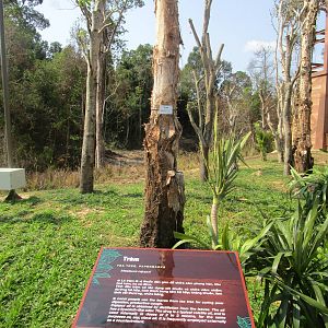 Vinpearl Safari - Botany Signage