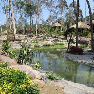Vinpearl Safari - Flamingo Enclosure