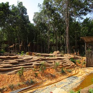 Vinpearl Safari - White Lion Enclosure