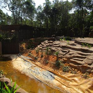 Vinpearl Safari - White Lion Moat