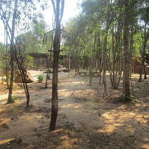 Vinpearl Safari - White Lion Enclosure