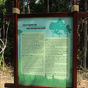 Vinpearl Safari - Botanical History of the Island