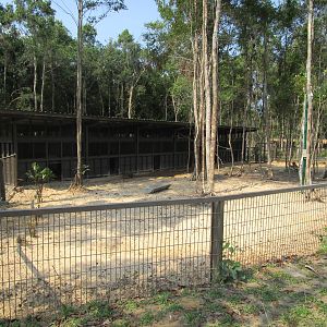 Vinpearl Safari - Wild Boar Enclosure