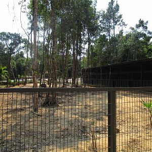 Vinpearl Safari - Wild Boar Enclosure