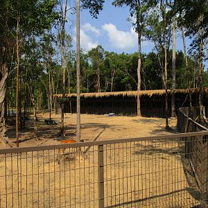 Vinpearl Safari - Sika Deer Enclosure