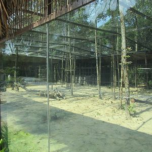 Vinpearl Safari - Leopard Enclosure