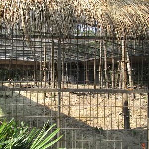 Vinpearl Safari - Leopard Enclosure