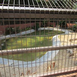 Vinpearl Safari - Siamese Crocodile Enclosure