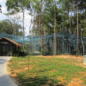 Vinpearl Safari - Walkthrough Aviary Entrance