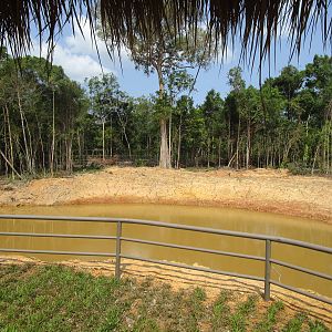 Vinpearl Safari - Asian Elephant Enclosure