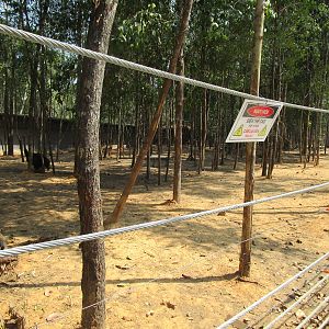 Vinpearl Safari - Zebra and Ostrich Enclosure